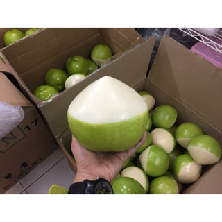 มะพร้าวปลอกหัวโมเดล 1ลูก ของตกแต่ง