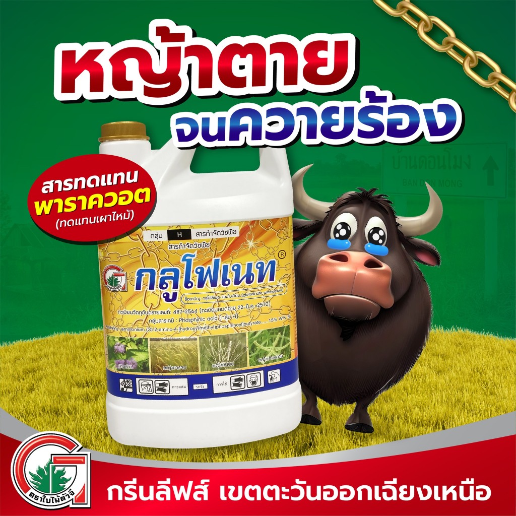 กลูโฟเนท : กลูโฟซิเนต-แอมโมเนียม 15% สารกำจัดวัชพืชใบแคบใบกว้าง