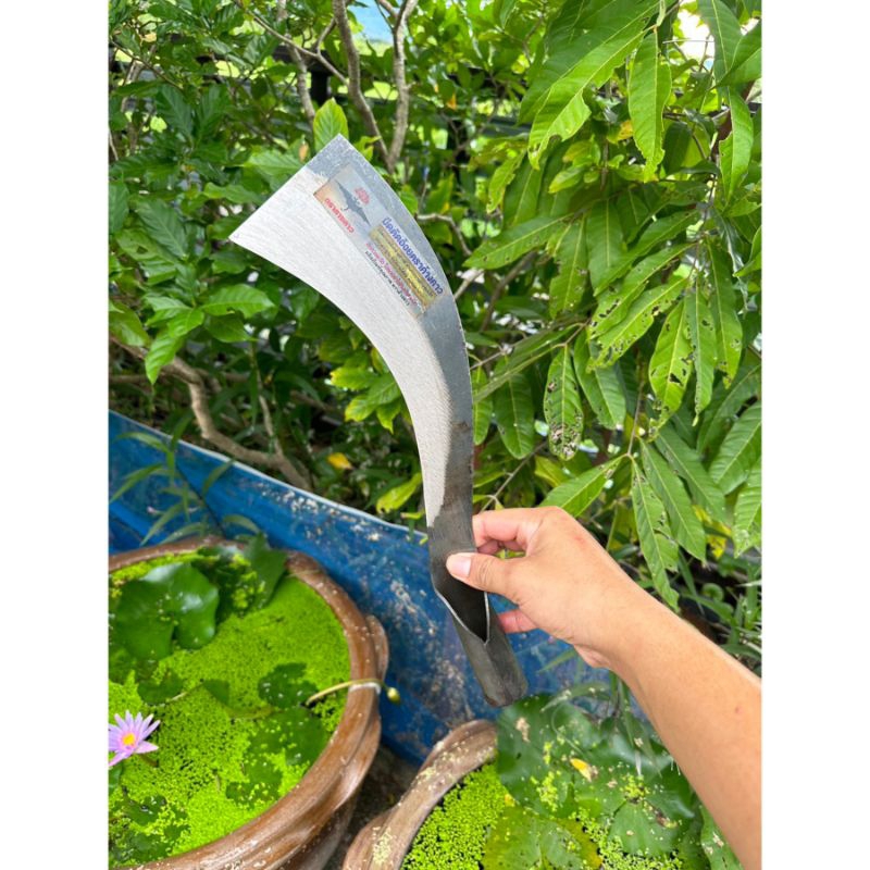 มีดตัดอ้อย ค้างคาวใบมีดทำจากเหล็กกล้า ใบมีดคม ทน ทาน แข็งแรง ลับคมงาย(ตัดอ้อยค้างคาวแท้)