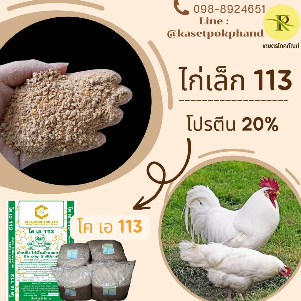 อาหารไก่แรกเกิด ไก่แรกเกิด อาหารไก่พื้นเมือง113 โคเอ113 อาหารไก่ อาหารไก่เล็ก ไก่ ไก่เล็ก ไก่แจ้