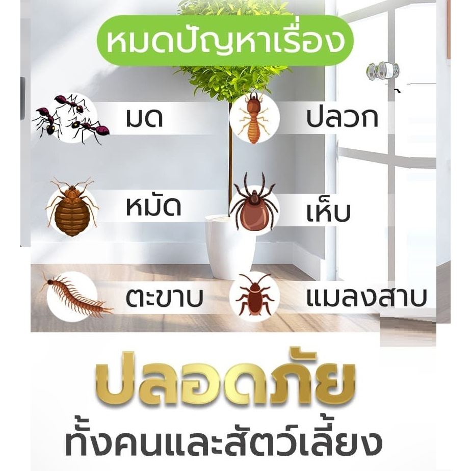 ฆ่าแมลงวัน 10000 ใน 1วินาที สเปรย์ไล่แมลงวัน 500ml ยาฆ่าแมลงวัน กําจัดแมลงวัน ยากําจัดแมลงวัน ยุง แมลงฯลฯ ได้ผล100% - รูปที่ 6