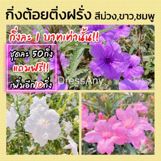 กิ่งต้อยติ่งฝรั่ง ดอกสีม่วง ขาว ชมพู ฟ้าประทานพร คละสีได้ กิ่งตัดสด ชุด50กิ่ง แถม10++