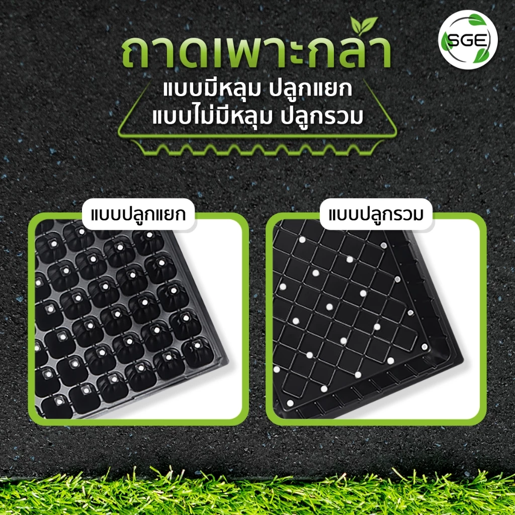 SGE ถาดเพาะกล้า ถาดเพาะชำ เพาะเมล็ด วัสดุ PET หนา ยืดหยุ่น thumbnail 8