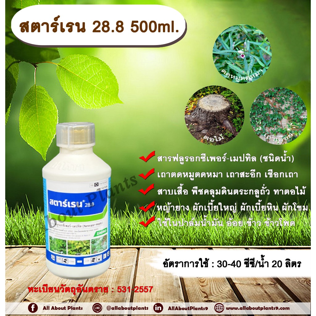 สตาร์เรน 28.8 500 cc ฟลูรอกซีเพอร์-เมปทิล สารกำจัดวัชพืช กำจัดวัชพืชใบกว้าง กำจัดเถาตดหมูตดหมา เถาสะอึก เชือกเถา เถาถั่ว
