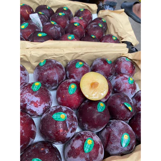ลูกไหน พลัม นำเข้า (PLUMS) (1kg)เนื้อเหลือง ผิวแดงผิวดำตามล๊อก