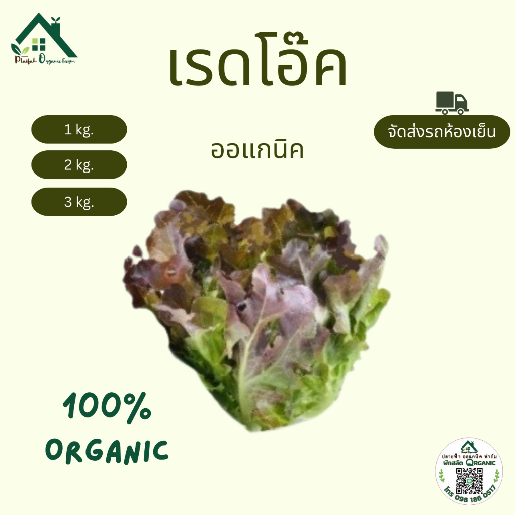 เรดโอ๊ค ผักสลัดออแกนิค ผักสด ปลอดสารพิษ 100% 1กก. 2กก. 3กก. ปลายฟ้าออแกนิคฟาร์ม
