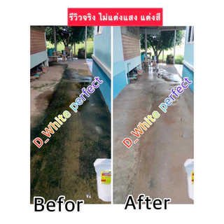 ดีไวท์ เพอร์เฟ็ก ผงขจัดตะไคร่น้ำ แพ็คคู่สุดคุ้ม ของแท้100% ฟรีถุงมือ+หน้ากากอนามัย (แพ็คละ 300 กรัม)