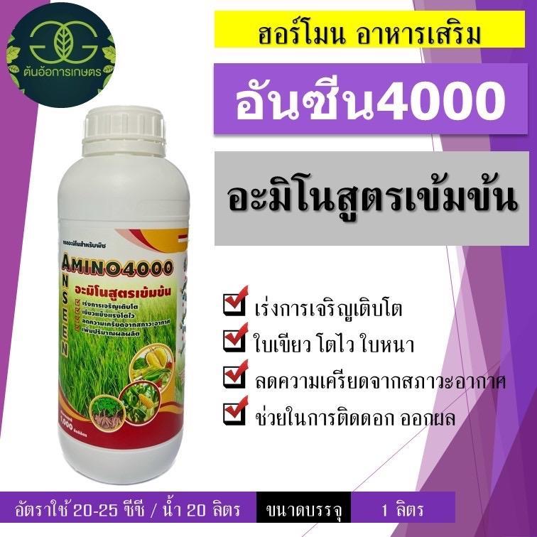 อันซีน 4000 อะมิโนสูตรเข้มข้นมากกว่า40% เนื้อสเปน