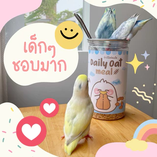 Daily oat meal ข้าวโอ๊ตสูตรบ้านมะลิ สำหรับนกแก้วขนาดเล็ก-กลาง