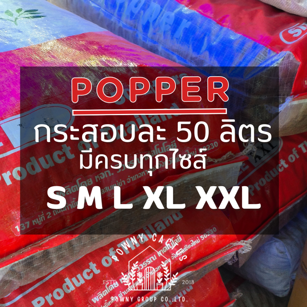 เม็ดดินเผา popper ดินเผา มวลเบา 1 ลิตร ป๊อปเปอร์ popper S M L XL XXL หินโรยหน้า โรยหน้ากระถาง - รูปที่ 7