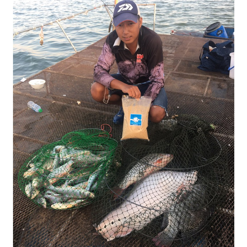 เหยื่อตกปลา เหยื่อหมาน | สูตรปลารวม 1 กก. | ผสมเสร็จ ตกได้ทันที | ปั้นง่าย ปลาเข้าไว | รีวิว 10k+ - รูปที่ 7