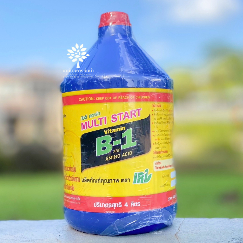 เร่งราก มัลติ สตาร์ท B1  4 ลิตร ✅ สินค้าผลิตใหม่  ของแท้แน่นอน 💯