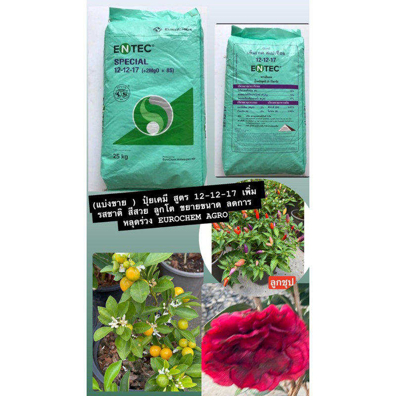 (แบ่งขาย ) ปุ๋ยเคมี สูตร 12-12-17 เพิ่มรสชาติ สีสวย ลูกโต ขยายขนาด ลดการหลุดร่วง EUROCHEM AGRO