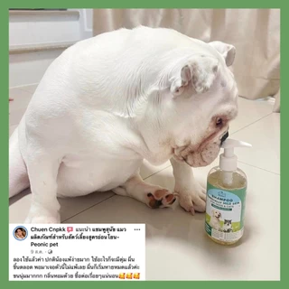 ✨กลิ่นหอมมาก✨แชมพูอาบน้ำหมา&แมว สูตรผิวแพ้ง่ายใช้ได้ ออร์แกนิค ขนนุ่มฟู ลดขนร่วง เข้าตาได้ไม่แสบ สูตรอ่อนโยน