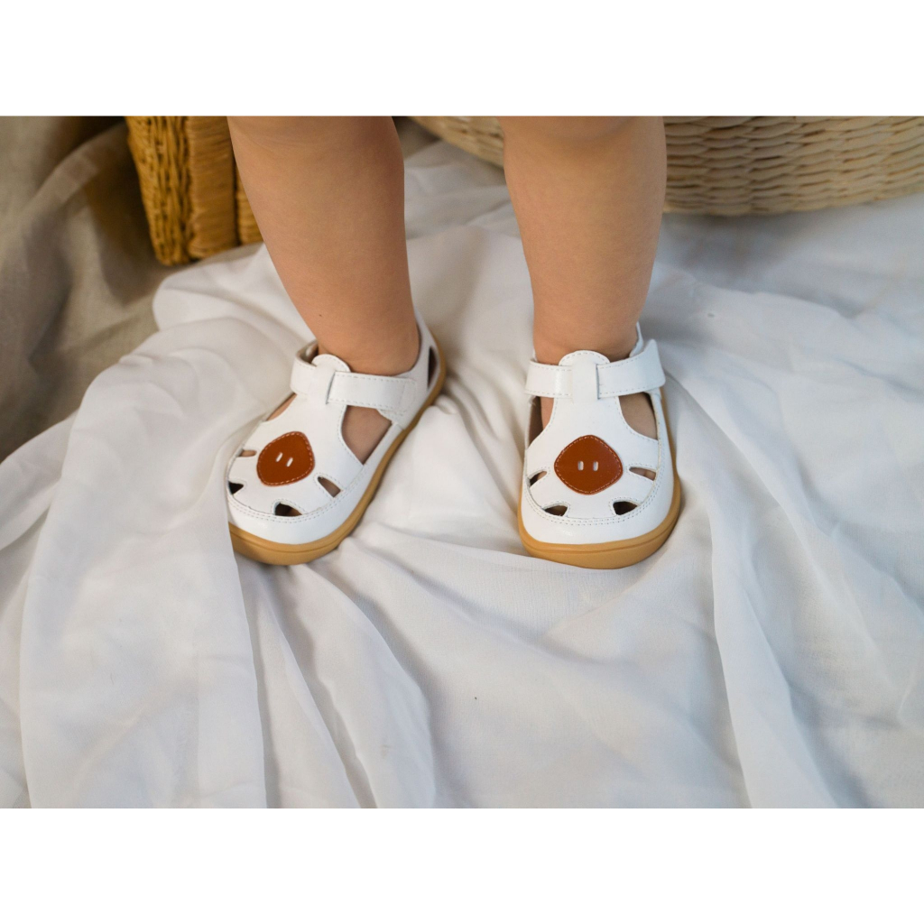 รูปภาพ 6