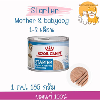 ( 1 กระป๋อง ขนาด 195 กรัม ) Royal Canin  starter mother & ba…
