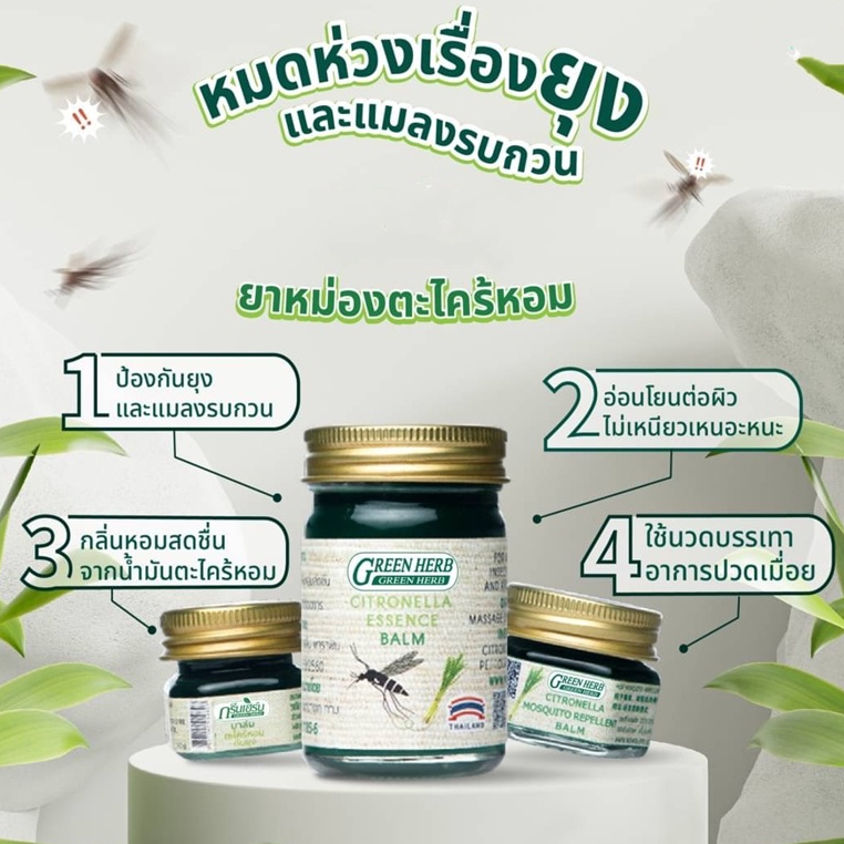 พร้อมส่ง ยาหม่องสมุนไพตะไคร้หอมกันยุงไล่ยุง ขนาด50g Green Herb กรีนเฮิร์บ Body Massage Oil เลขทะเบียนที่ 233/2560