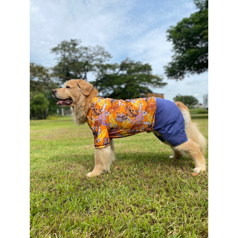 พร้อมส่ง! เสื้อสุนัข เสื้อหมาขนาดใหญ่ เที่ยวทะเล กางเกงขาสั้น - รูปที่ 6