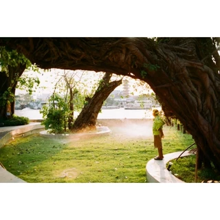 Fujifilm 200 Color Negative Film ฟูจิ 200 Fujicolor ฟิล์มสี