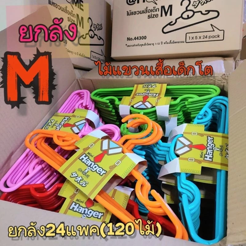 M ยกลัง ไม้แขวนเสื้อเด็กโตM พร้อมส่ง PPเกรดA 24แพค (120ไม้) ไม้แขวนเสื้อพลาสติก