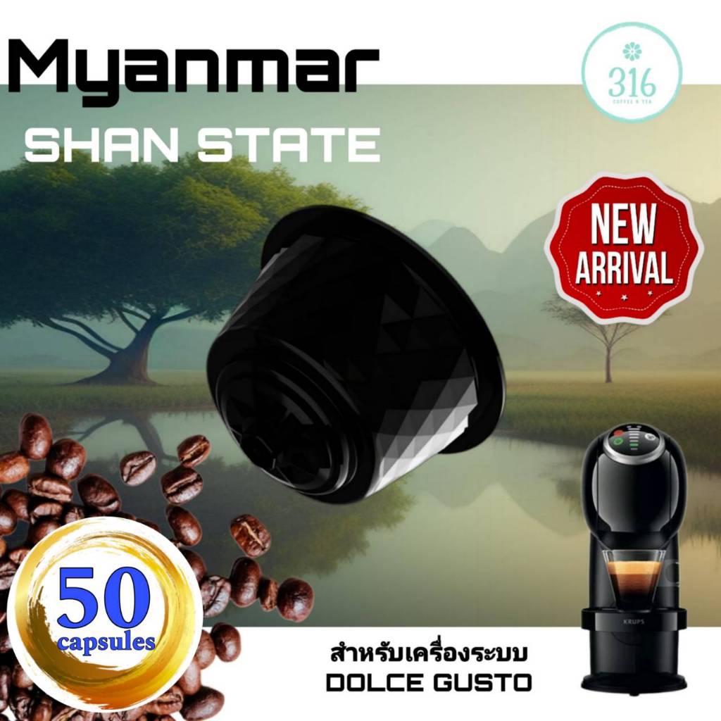 กาแฟเเคปซูล Myanmar Shan State สำหรับเครื่อง Dolce Gusto จำนวน 50 แคปซูล