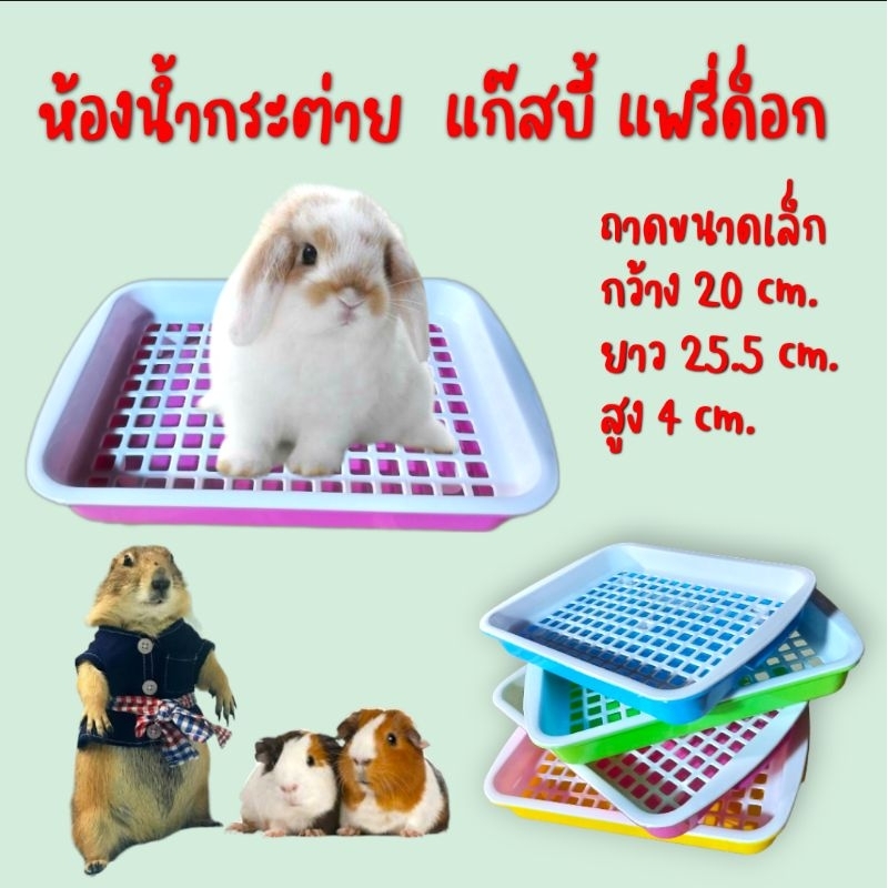 ห้องน้ำกระต่าย แก๊สบี้ แพรี่ด็อก ถาดฉี่  ขนาดเล็ก 20 x 25.5 x 4 cm. ( คละสี )