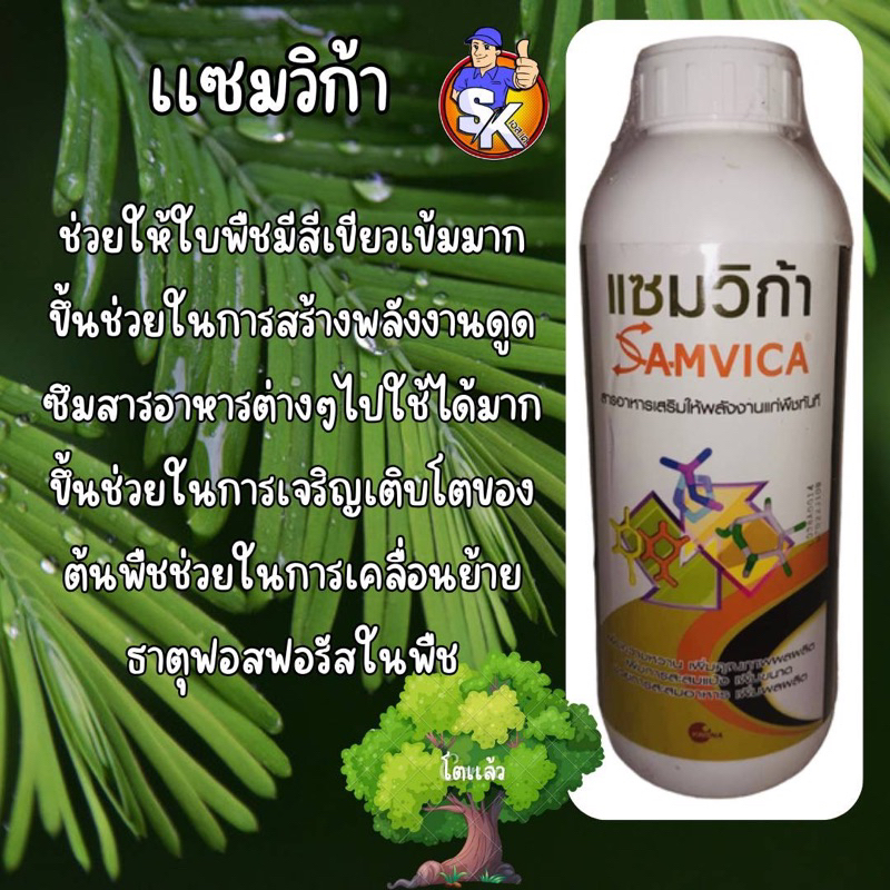 เเซมวิก้า1 ลิตร ตราแซมวิก้า