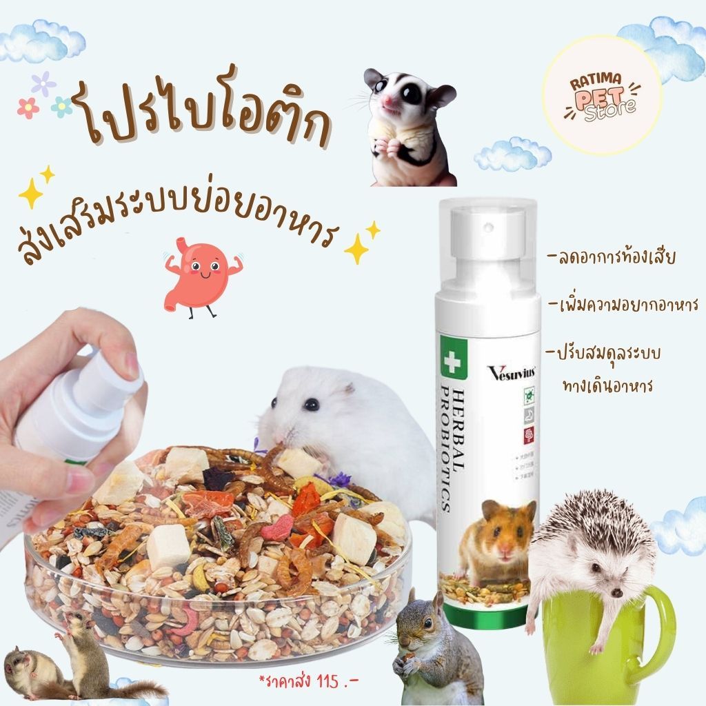 วิตามินสำหรับ หนูแฮมเตอร์ ชูก้าร์ไกลเดอร์ กระรอก เม่นแคระ โปรไบโอติกสัตว์เลี้ยง Vesuvius วิตามินสัตว์เล็ก
