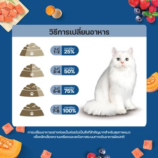 Lifemate Care+ skin & coat อาหารแมวโตสูตรดูแลผิวหนังและขน ขนาด 1 กิโลกรัม (C72)