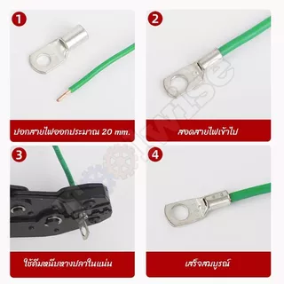 หางปลาทองแดง ทรงยุโรป ทองแดงชุบดีบุก มีหลายขนาด