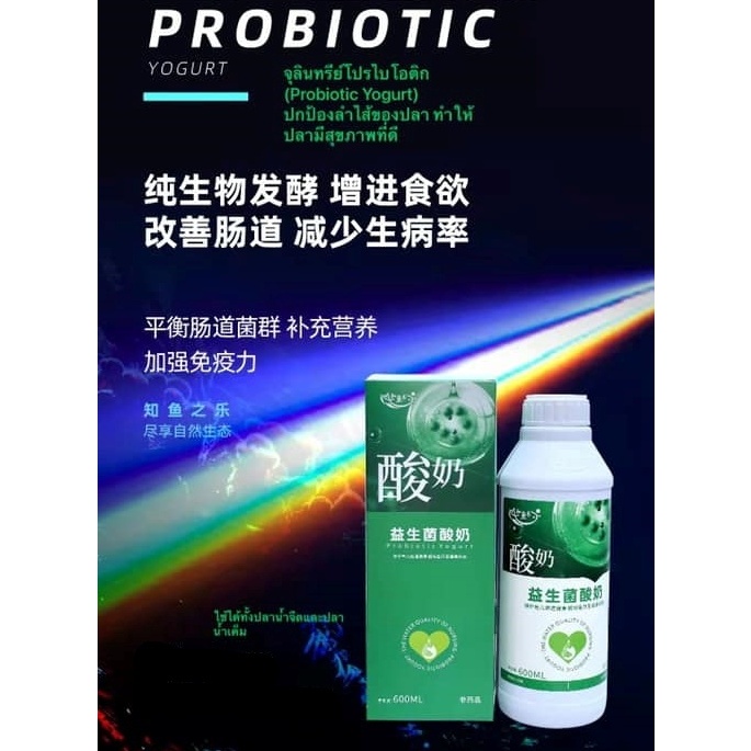 จุลินทรีย์โปรไบโอติก (Probiotic Yogurt) ปรับสมดุลลำไส้ ช่วยระบบย่อยอาหารของปลา