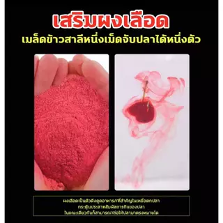 กัดเบ็ด3วินาที 🐋สามารถตกปลาได้1000ครั้ง🐋Hydra เหยื่อตกปลา หัวเชื้อตกปลา 1000เม็ด เพิ่มสารล่อปลา รสชาติกลมกล่อม กระตุ้นให