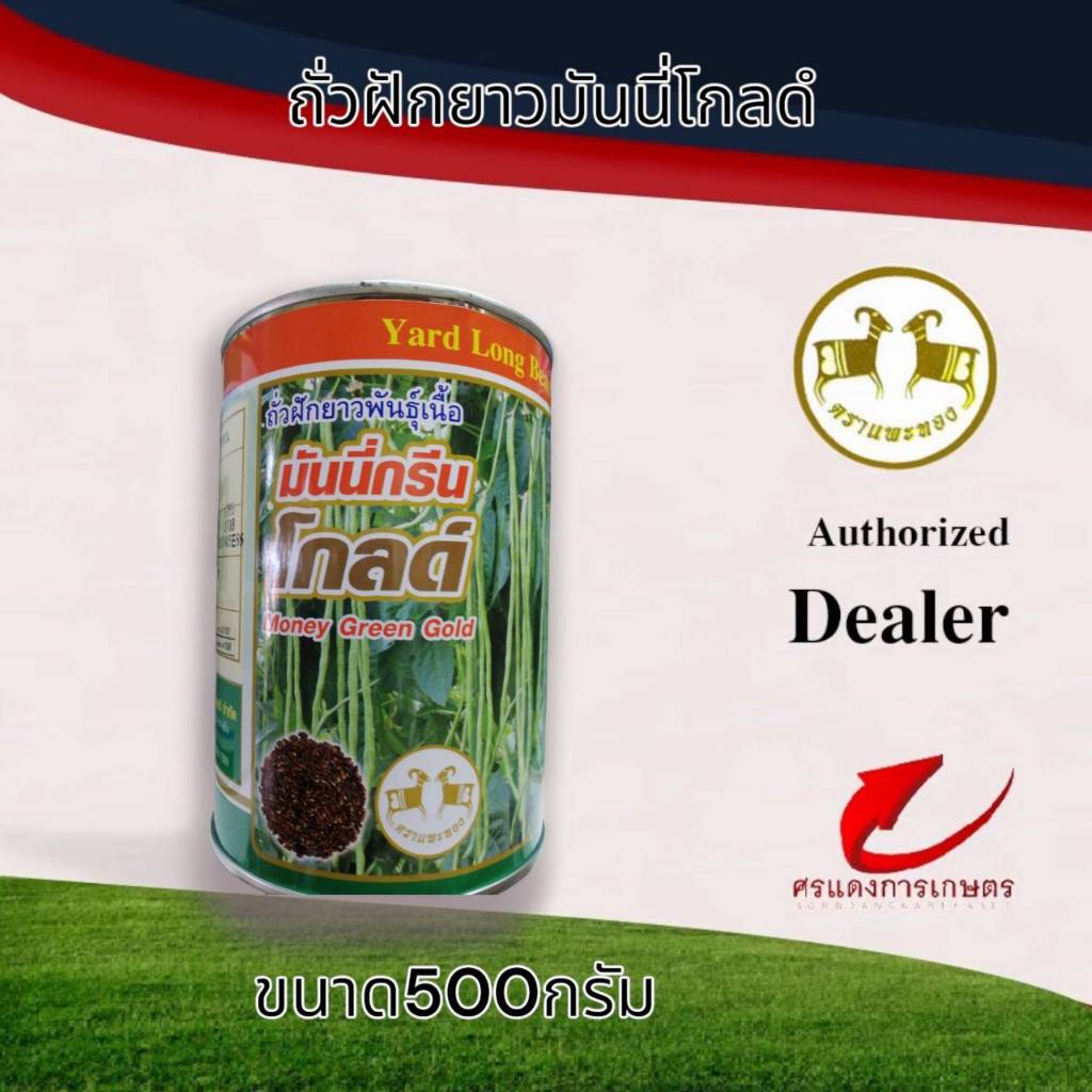 ถั่วฝักยาวมันนี่กรีนโกลด์ 500g #ถั่วฝักยาว #ขายส่งเมล็ดพันธุ์ #ขายเมล็ด #เมล็ดพันธุ์