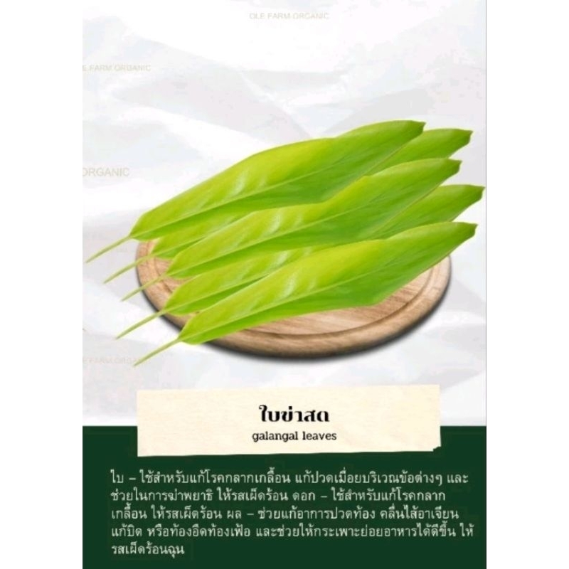 ใบข่าออแกนิคชุด20-50ใบ