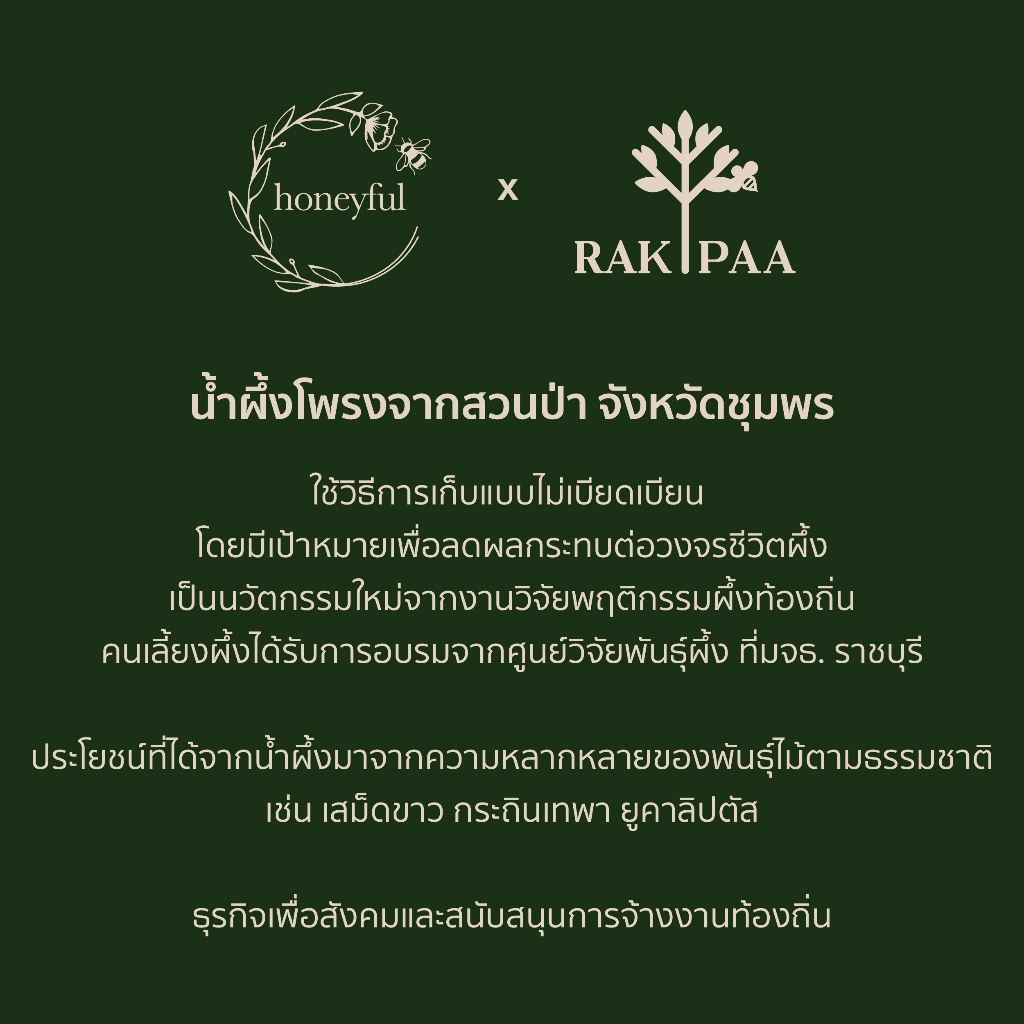 นํ้าผึ้งรักษ์ป่า จังหวัดชุมพร ราคา ถูกที่สุด ดีลบีเคเค แกลเลอรีภาพที่ 2
