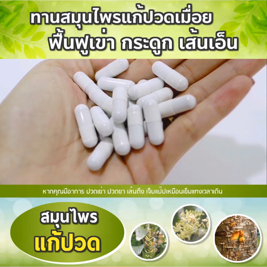 (ส่งฟรีไม่ต้องเก็บโค้ด) แก้ปวดเมื่อย เส้นยึด เอ็นจมกษัยเส้น ร้าวลงขา SN9เถาวัลย์เปรียง SN9แก้ปวดเมื่อย กระปุก30เม็ด ราคา ถูกที่สุด ดีลบีเคเค แกลเลอรีภาพที่ 4