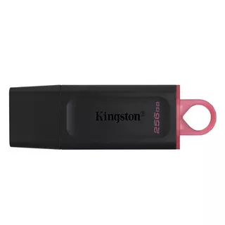 256 GB FLASH DRIVE (แฟลชไดร์ฟ) KINGSTON DATA TRAVELER EXODIA (DTX/256)