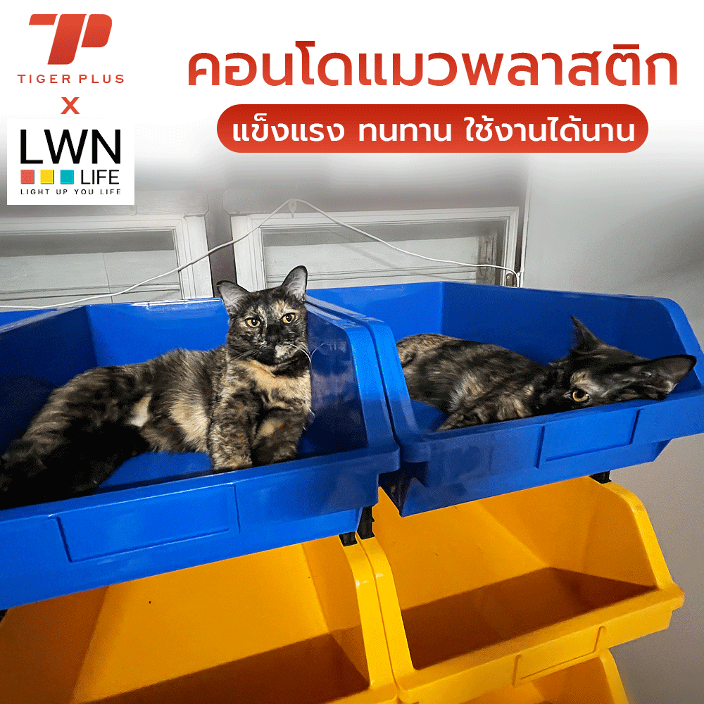 คอนโดแมว พลาสติก ที่นอนเย็นสำหรับแมว B4 B5 คอนโดแมวใหญ่ๆ ที่ฝนเล็บแมว ที่นอนแมว หลุมแมว