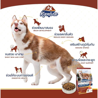 Kaniva อาหารสุนัขคานิวาเสริมสร้างกล้ามเนื้อ สำหรับสุนัข4เดือน+ ระบบย่อย บำรุงขน 1.3-1.5 kg