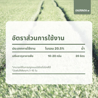 500G/1KG โบรอน 20.5% จุลธาตุโบรอน ละลายน้ำง่าย ไม่มีตะกอน พ่นทางใบหรือไฮโดรโปนิกส์/ Boron 20.5% micronutrient - Chemrich