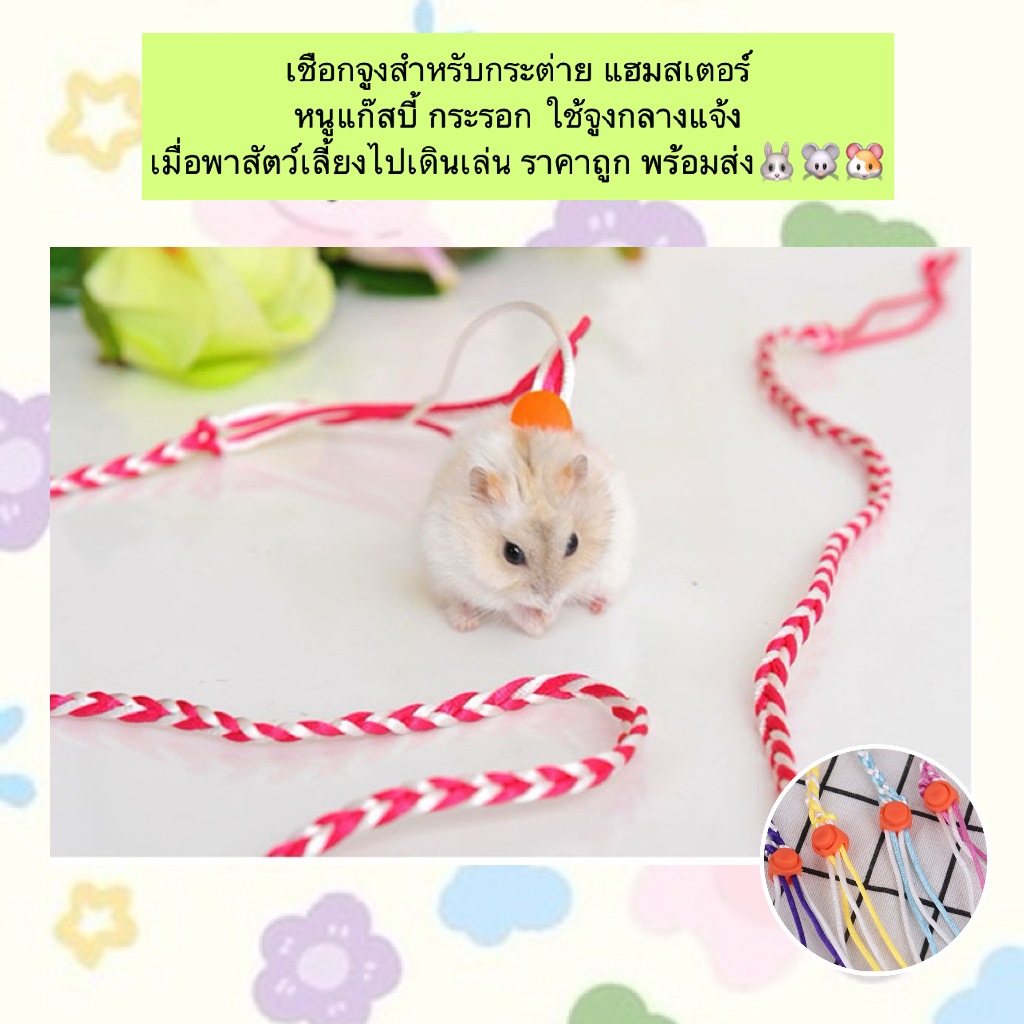 BN-490 สายจูงสัตว์เลี้ยงขนาดเล็ก สำหรับกระต่าย กระรอก หนูแฮมสเตอร์ แกสบี้ 🐰🐹🐭 พาเพื่อนตัวน้อยออกไปเดินเล่นกลางแจ้งอย่