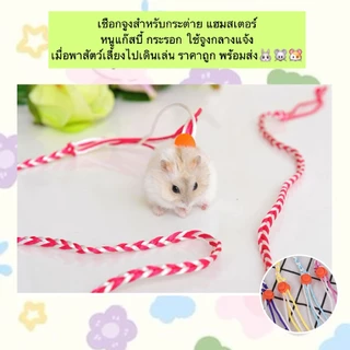 BN-490 สายจูงสัตว์เลี้ยงขนาดเล็ก สำหรับกระต่าย กระรอก หนูแฮมสเตอร์ แกสบี้ 🐰🐹🐭 พาเพื่อนตัวน้อยออกไปเดินเล่นกลางแจ้งอย่