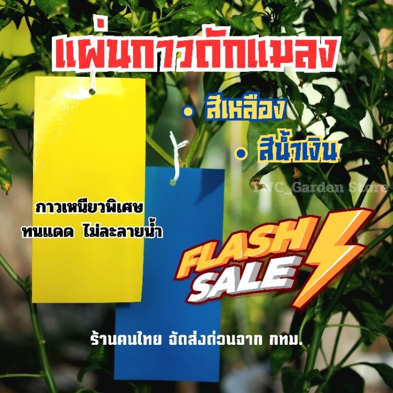 แผ่นกาวดักแมลง ขนาด (S)10x20cm. แพ็ค 20,10 แผ่น กำจัดแมลง เพลี้ย แมลงหวี่ แผ่นพลาสติกเคลือบกาวคุณภาพดี ใช้งานได้นาน
