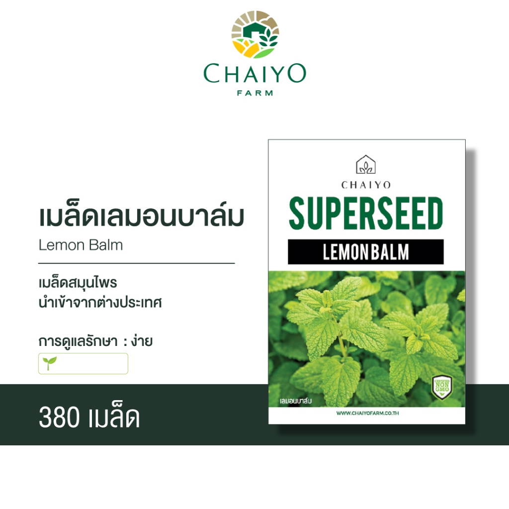 เมล็ด LEMON BALM เลมอนบาล์ม