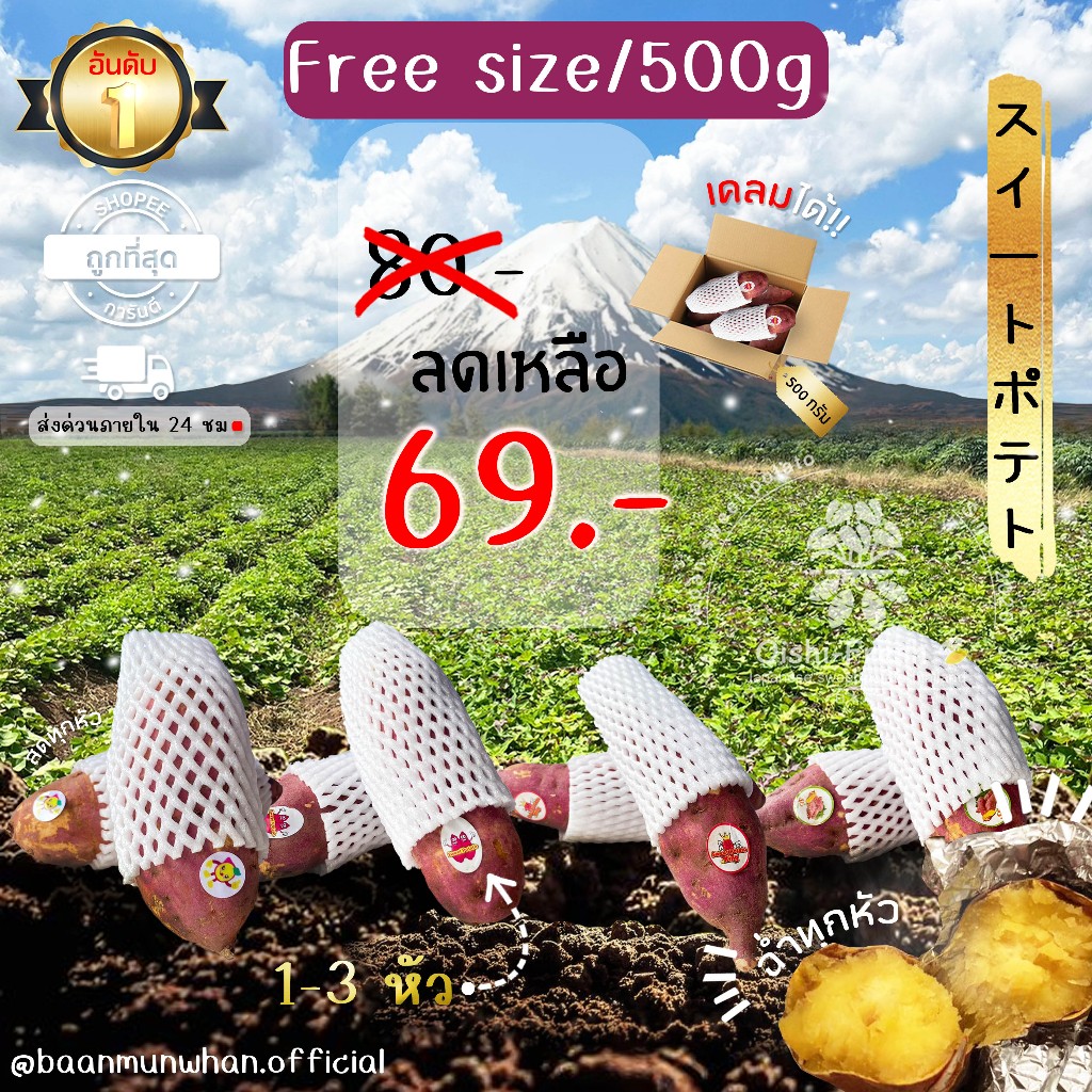 Oishi-Fresh มันหวานญี่ปุ่น4 ยี่ห้อ เนื้อเหลือง หอมหวาน อร่อย 500 กรัม  2-3 หัว จัดส่ง 24 ชม.