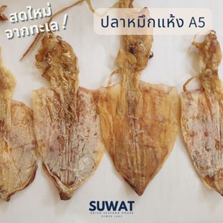 [[สุดคุ้ม]] ปลาหมึกแห้ง หมึกแห้ง หมึกผ่าใบโพธิ์ ไซส์กลาง 3-4…