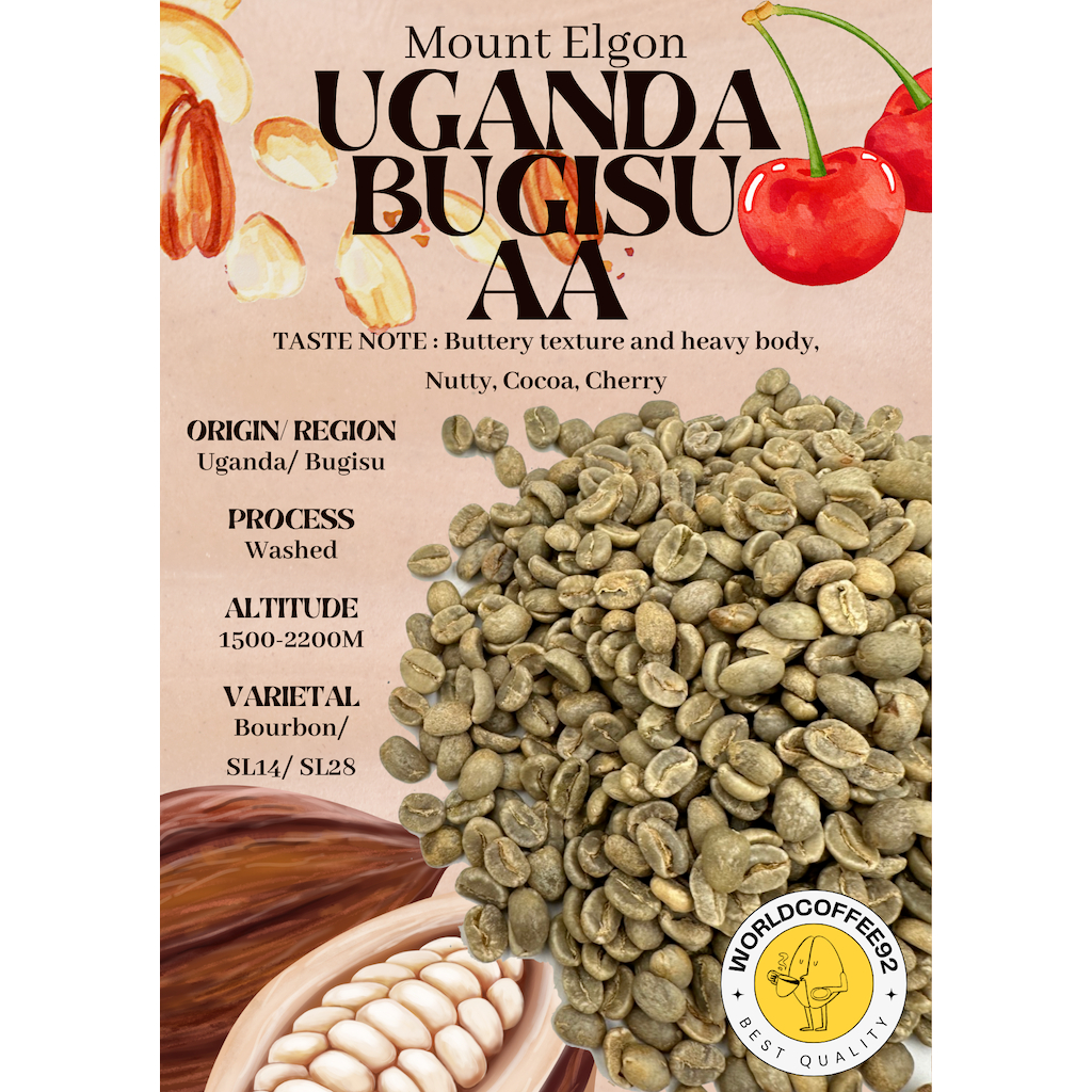 พร้อมส่ง เมล็ดกาแฟดิบ Uganda Bugisu AA Washedl process/ เมล็ดก่แฟนอก/ เมล็ดกาแฟสารยูกันดา