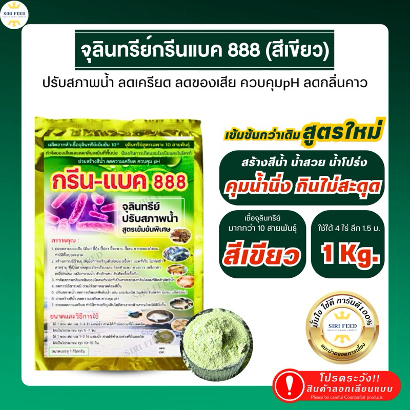 [ปรับสูตร เข้มข้นกว่าเดิม]จุลินทรีย์กรีนแบค 888(น้ำสีเขียว)ปรับสภาพน้ำ ลดกลิ่น ลดของเสีย ลดเครียด pH