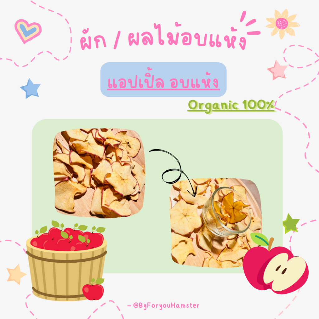 แอปเปิ้ล อบแห้ง organic 100%