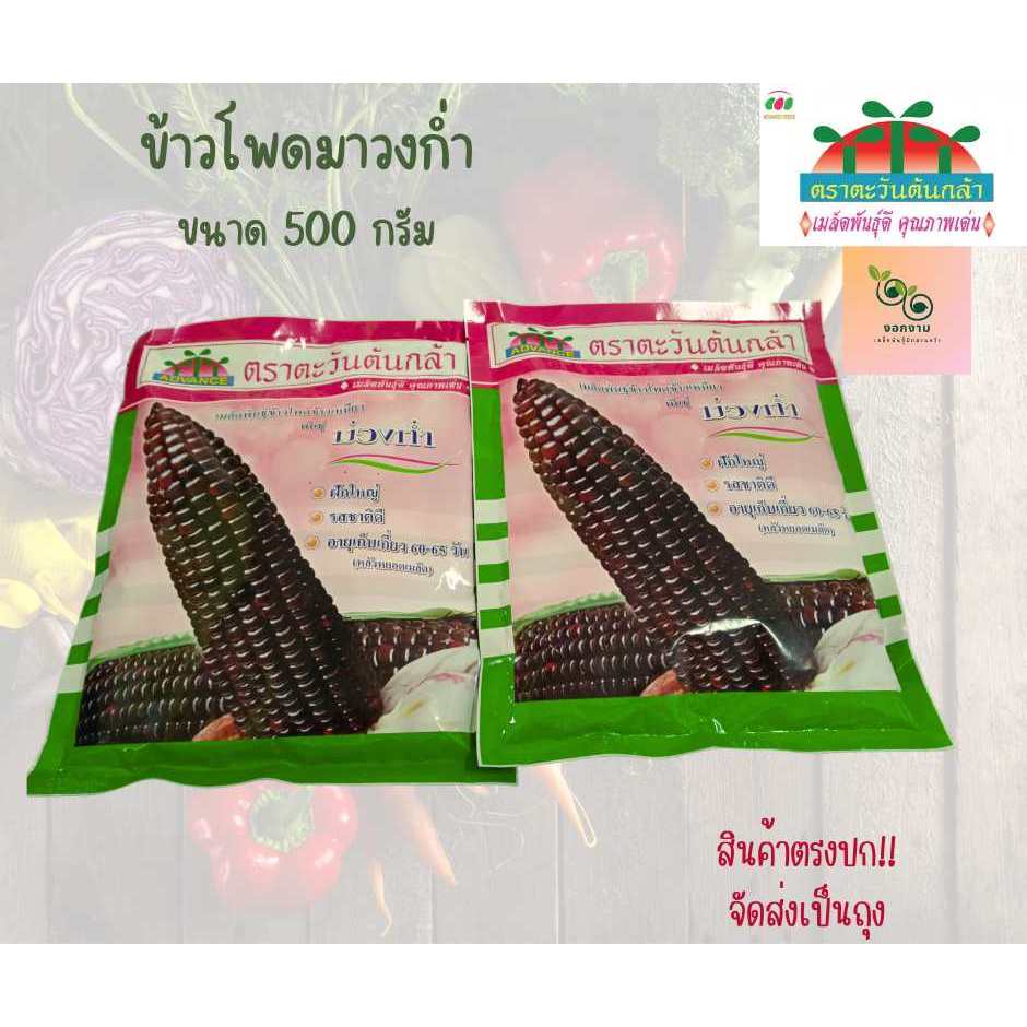 ข้าวโพดม่วงก่ำ ขนาด 500 กรัม
